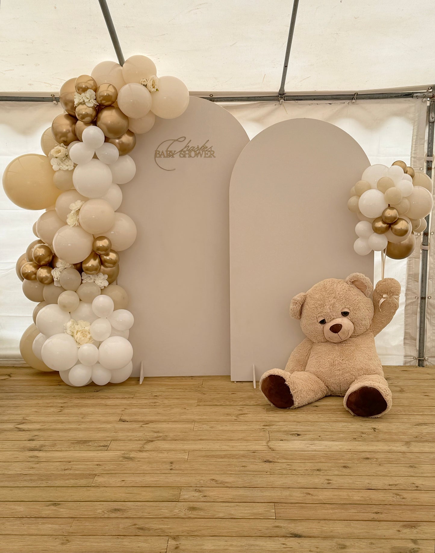 Sail Board Hire, Teddy Hire & Balloons